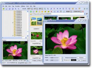 faststone-image-viewer faststone-image-viewer